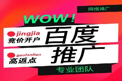 竞价推广成功案例：网络营销启示录